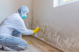 Best Mold Documentation for Insurance Claims  in Oakville, MO