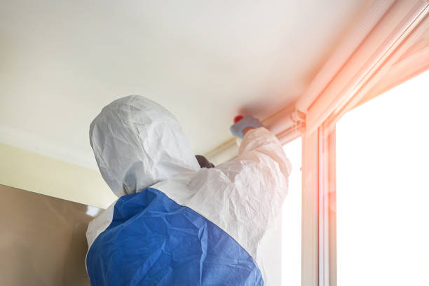 Mold Remediation for Vacation Homes in Oakville, MO