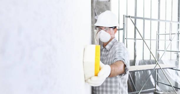 Best Mold Remediation for Vacation Homes  in Oakville, MO