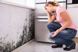 Best Residential Mold Inspection & Testing  in Oakville, MO